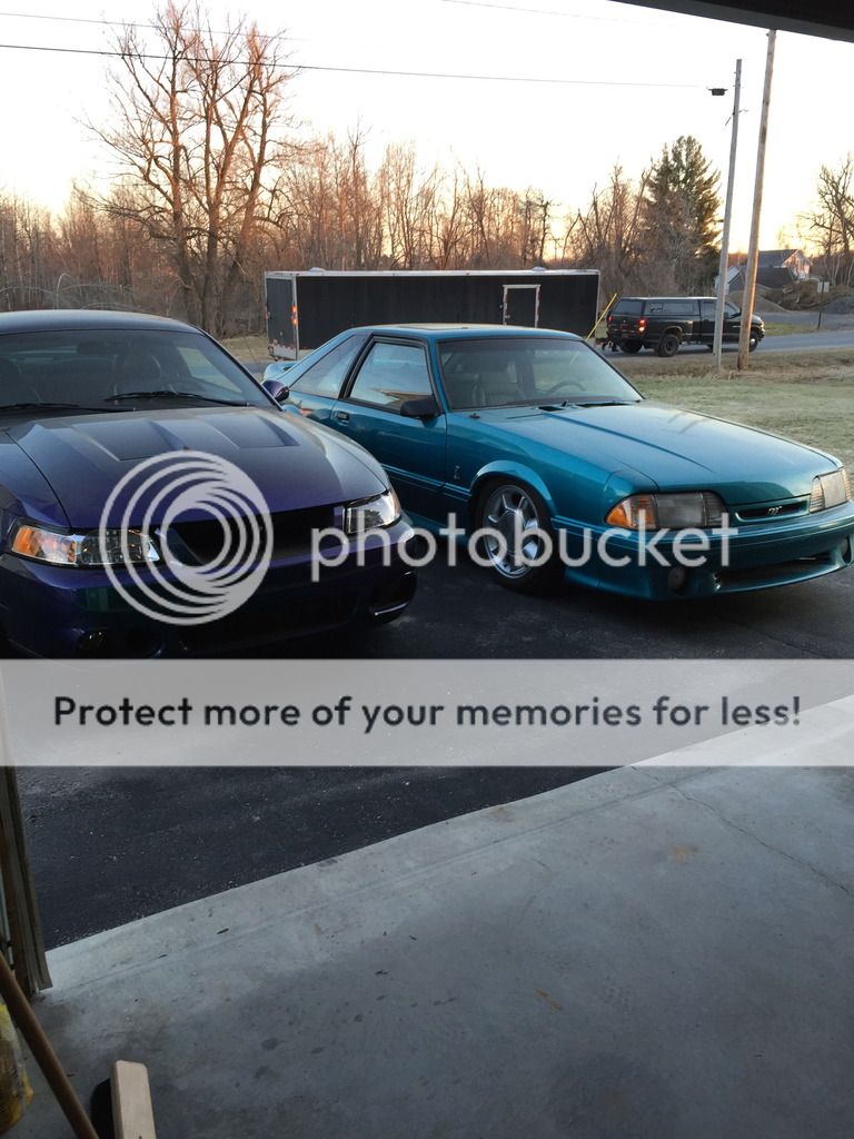 For Sale SR Lowering Springs Fox Body Ford Mustang Forums